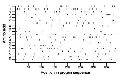 amino acid map