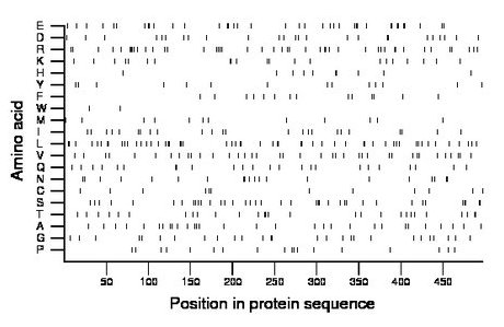 amino acid map