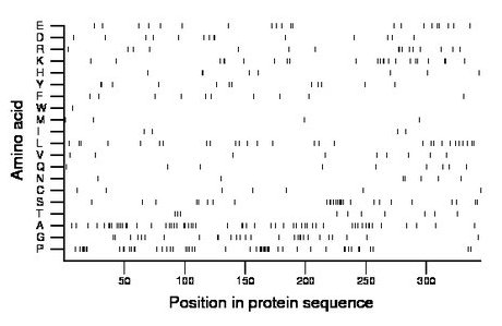 amino acid map