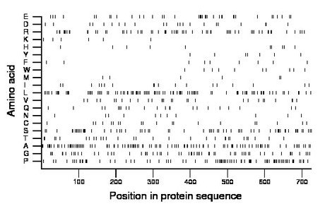 amino acid map