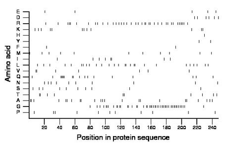 amino acid map