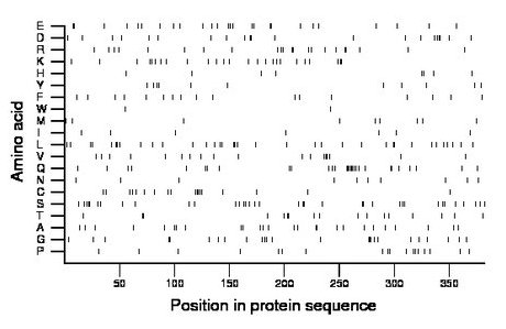 amino acid map