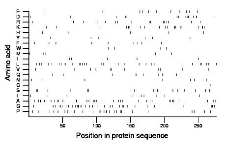 amino acid map