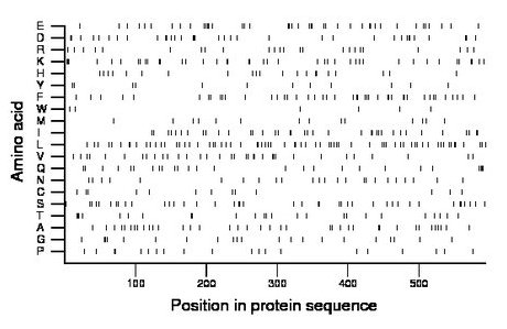 amino acid map