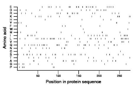 amino acid map