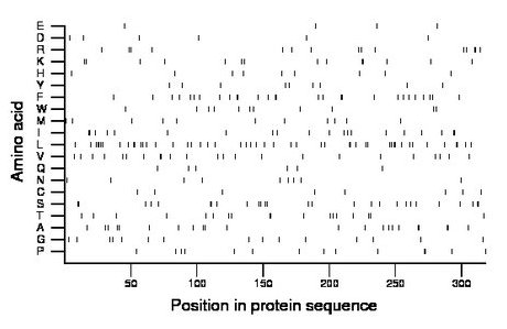 amino acid map