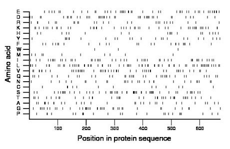 amino acid map