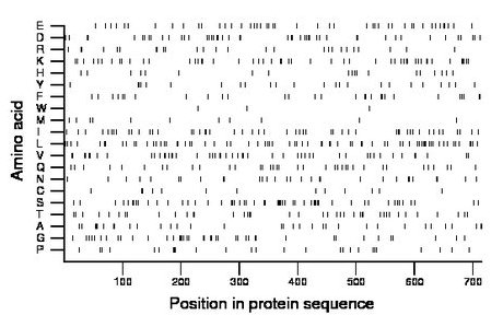 amino acid map