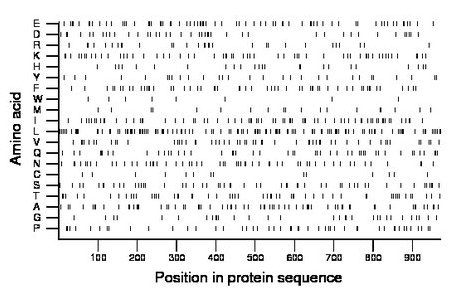 amino acid map