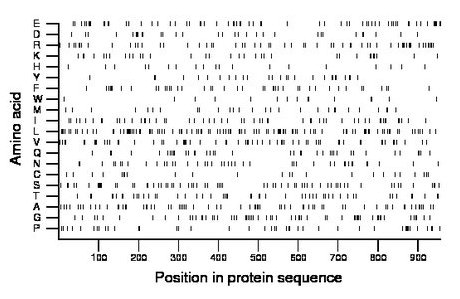 amino acid map