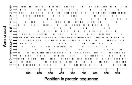 amino acid map