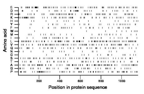 amino acid map