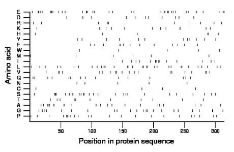 amino acid map