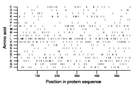 amino acid map