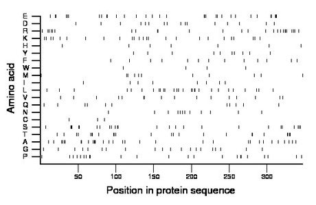 amino acid map