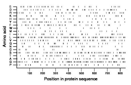 amino acid map