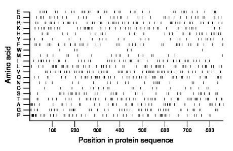 amino acid map