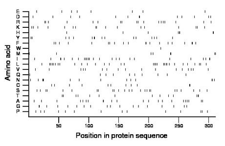 amino acid map