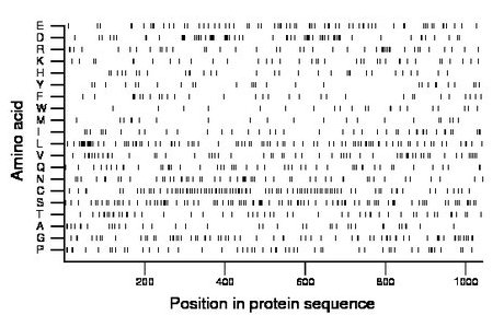 amino acid map