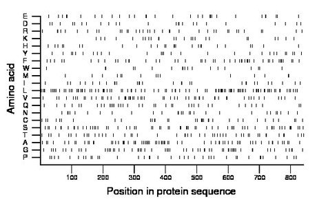 amino acid map