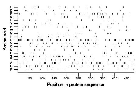 amino acid map