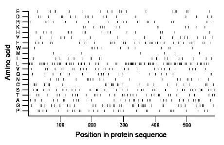 amino acid map