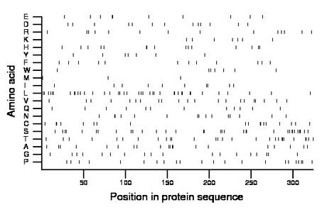 amino acid map