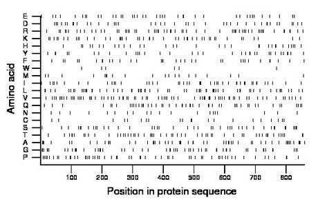 amino acid map