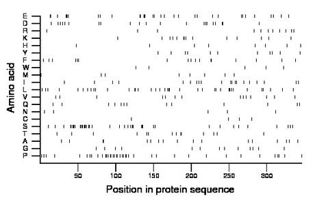 amino acid map