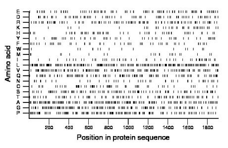 amino acid map