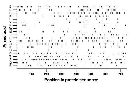 amino acid map