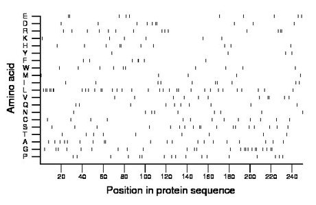 amino acid map