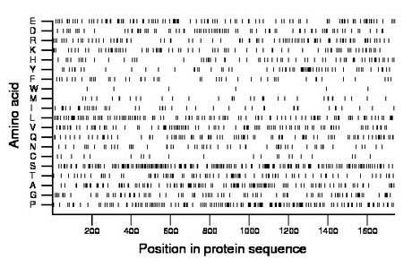 amino acid map