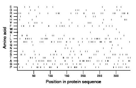 amino acid map