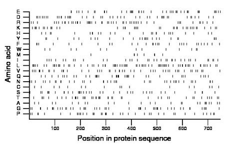 amino acid map