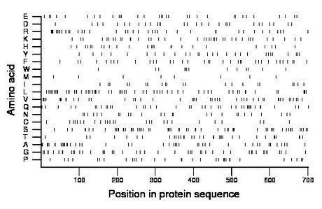 amino acid map