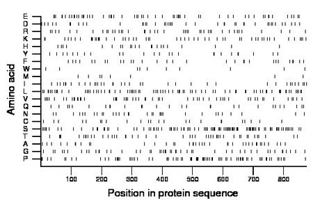 amino acid map