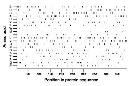 amino acid map