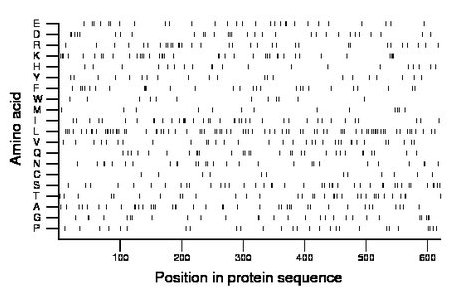 amino acid map