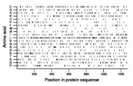 amino acid map