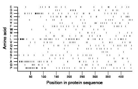 amino acid map