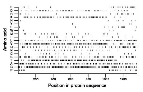 amino acid map