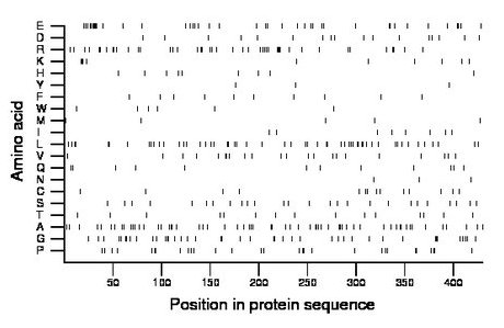 amino acid map