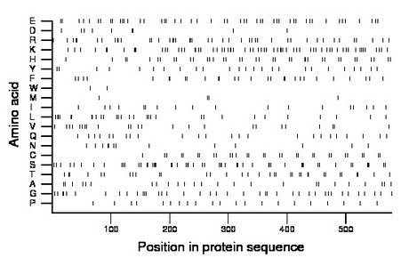 amino acid map