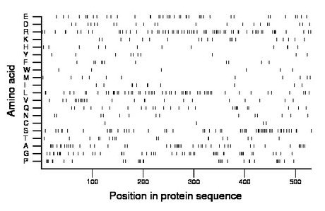 amino acid map