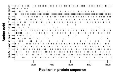 amino acid map