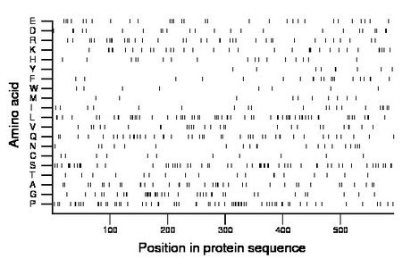 amino acid map