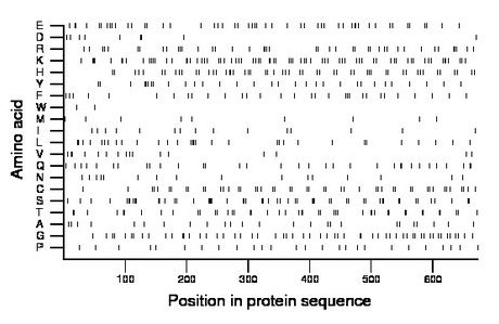 amino acid map