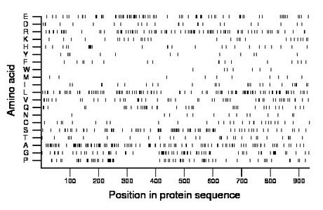 amino acid map