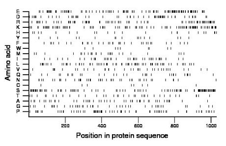 amino acid map